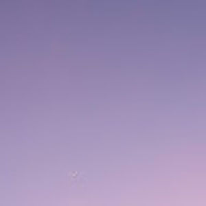 Meet your Posher, Sophia